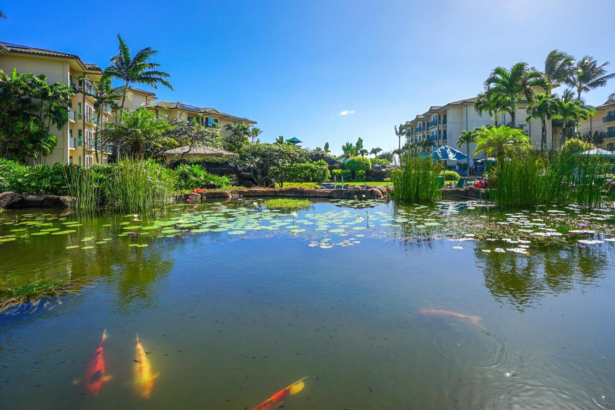 Waipouli Beach Resort Капаа Стая снимка